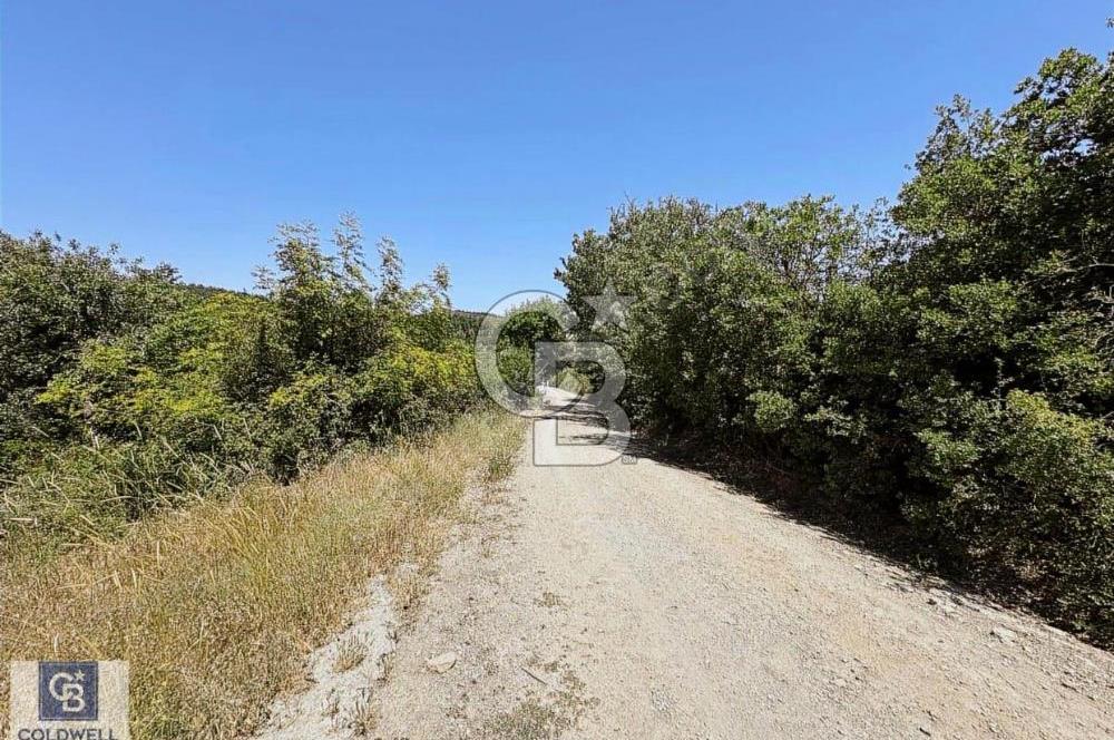Cb Ofis'ten Manisa Yağcılar'da Satılık Arsa
