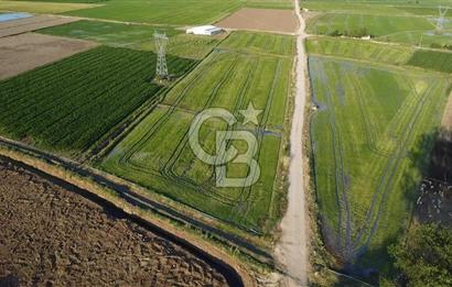 BİGA ÇAVUŞKÖY SATILIK TARLA