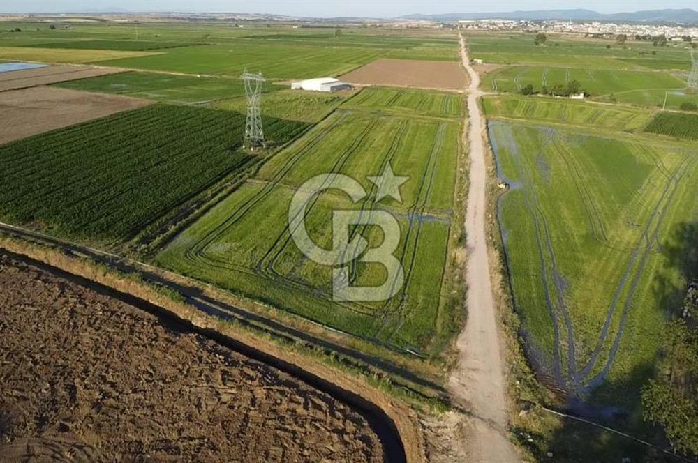 BİGA ÇAVUŞKÖY SATILIK TARLA