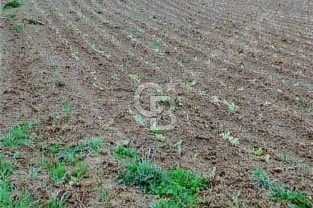 SAKARYA KAYNARCA YENİÇAM MAH. YOLA 2. PARSEL