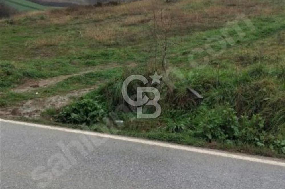 SAKARYA KAYNARCA YENİÇAM MAH. YOLA 2. PARSEL