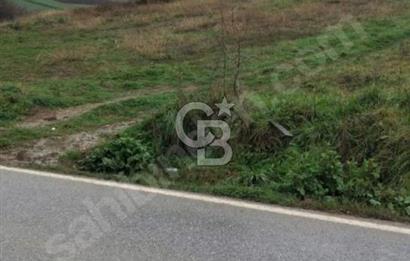 SAKARYA KAYNARCA YENİÇAM MAH. YOLA 2. PARSEL
