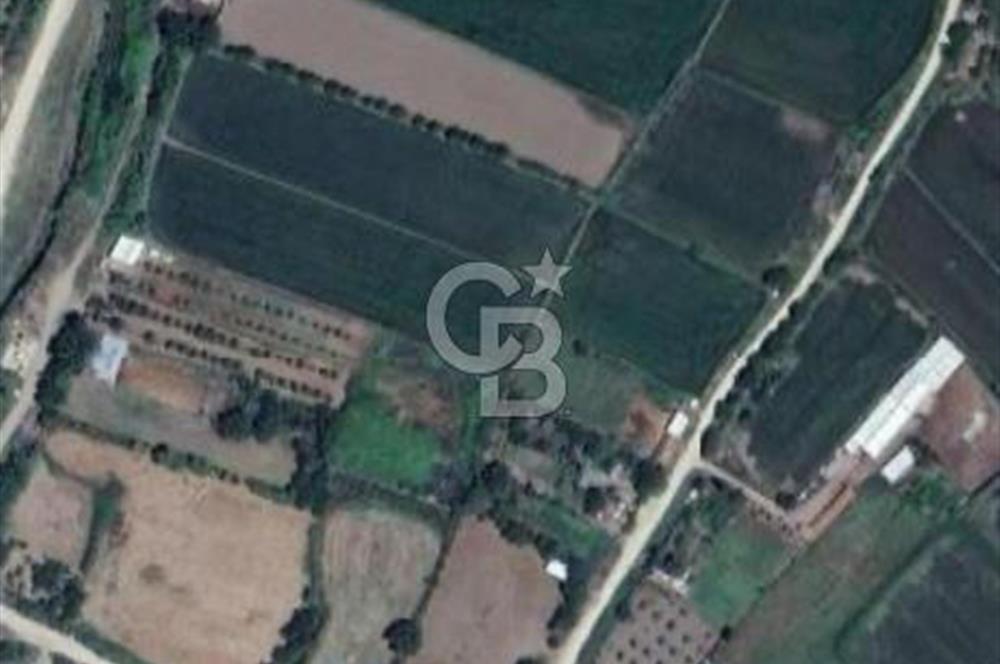 BİGA ÇAVUŞKÖY SATILIK TARLA