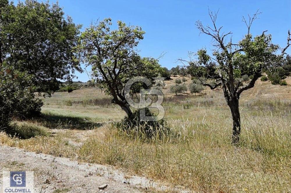 Cb Ofis'ten Manisa Yağcılar'da Satılık Arsa