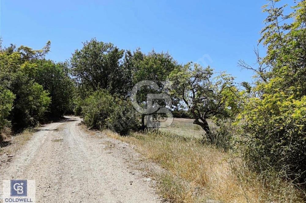 Cb Ofis'ten Manisa Yağcılar'da Satılık Arsa