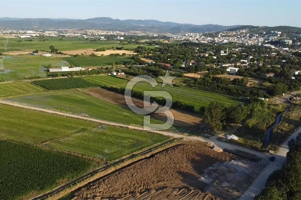 BİGA ÇAVUŞKÖY SATILIK TARLA