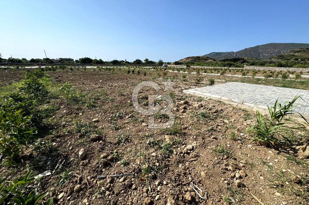 Datça Karaköyde Satılık Parsellenmiş Arazi Favorilerime Ekle Yazdır