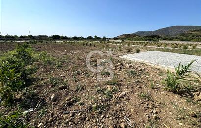 Datça Karaköyde Satılık Parsellenmiş Arazi Favorilerime Ekle Yazdır