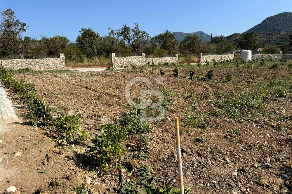 Datça Karaköyde Satılık Parsellenmiş Arazi Favorilerime Ekle Yazdır