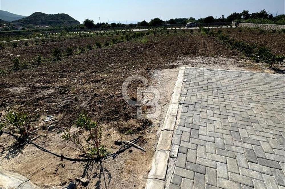 Datça Karaköyde Satılık Parsellenmiş Arazi Favorilerime Ekle Yazdır