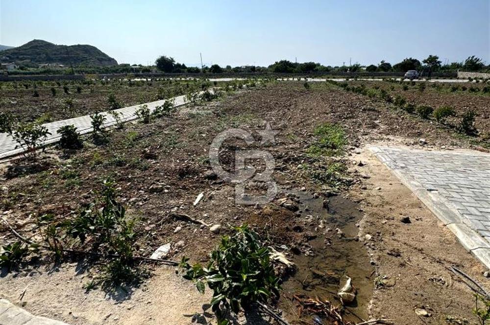 Datça Karaköyde Satılık Parsellenmiş Arazi Favorilerime Ekle Yazdır
