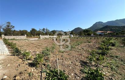 Datça Karaköyde Satılık Parsellenmiş Arazi