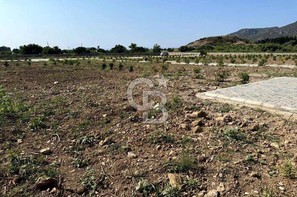 Datça Karaköyde Satılık Parsellenmiş Arazi