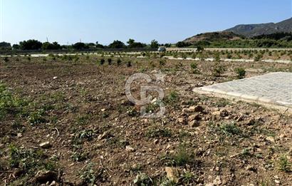 Datça Karaköyde Satılık Parsellenmiş Arazi
