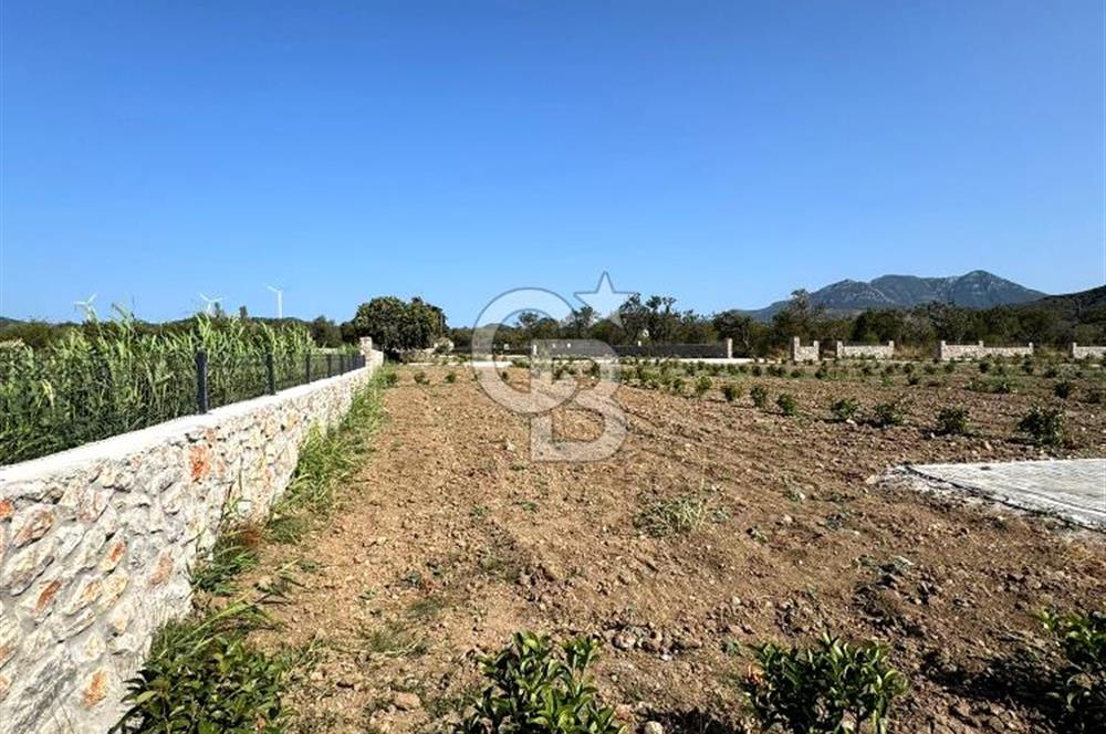 Datça Karaköyde Satılık Parsellenmiş Arazi