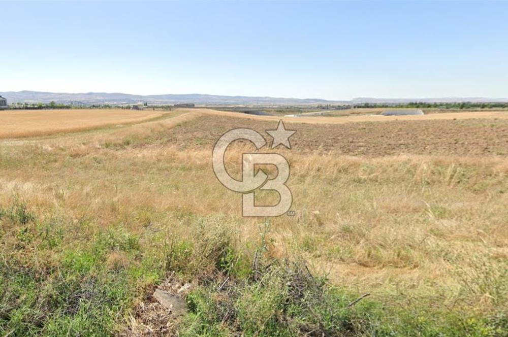 LBAŞI/HACILAR MH/MERKEZİ KONUMDA/SATILIK VİLLA ARSASI 1.500 M2