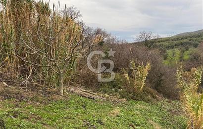 Mudanya Mirzaobada satılık 715 m2 Tarla