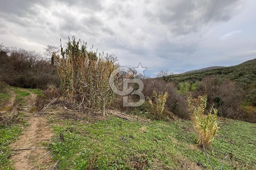 Mudanya Mirzaobada satılık 715 m2 Tarla