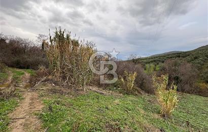 Mudanya Mirzaobada satılık 715 m2 Tarla