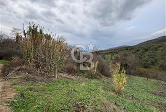 Mudanya Mirzaobada satılık 715 m2 Tarla