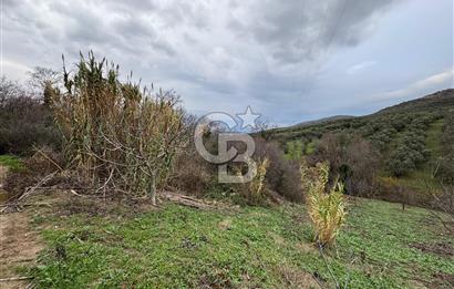 Mudanya Mirzaobada satılık 715 m2 Tarla