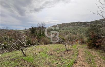 Mudanya Mirzaobada satılık 715 m2 Tarla