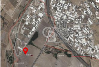 ANKARA YENİMAHALLE SUSUZ'DA SATILIK TARLA 