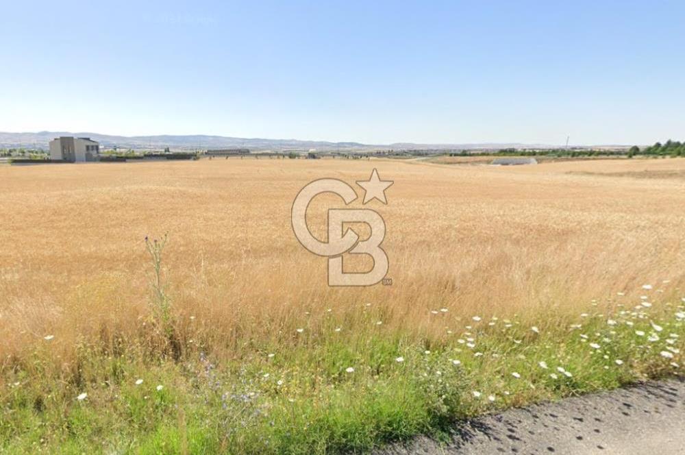 LBAŞI/HACILAR MH/MERKEZİ KONUMDA/SATILIK VİLLA ARSASI 1.500 M2