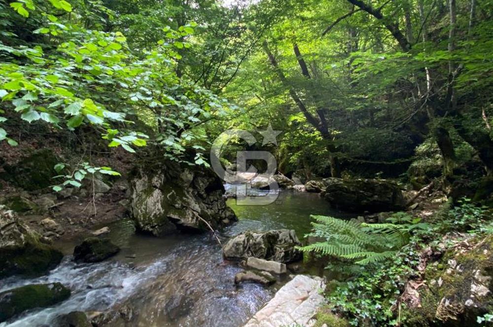 Bursa İznik Candarlı satılık tarla
