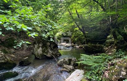Bursa İznik Candarlı satılık tarla