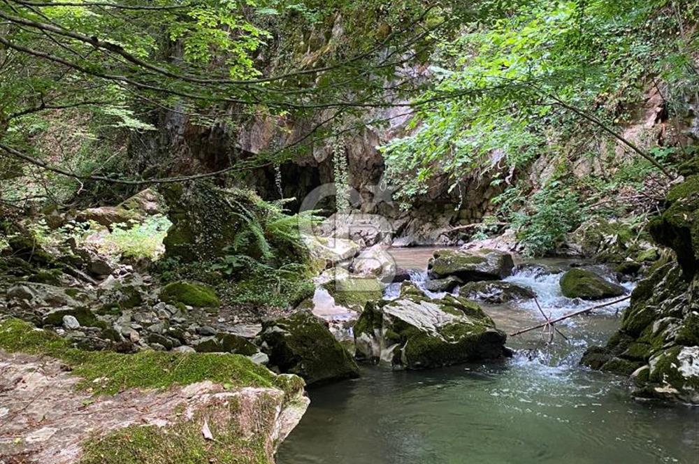 Bursa İznik Candarlı satılık tarla