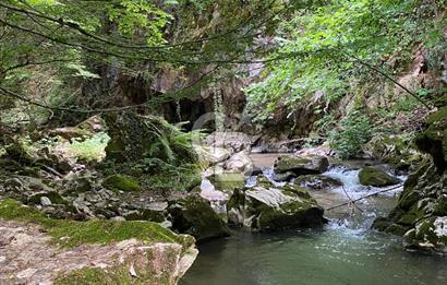 Bursa İznik Candarlı satılık tarla