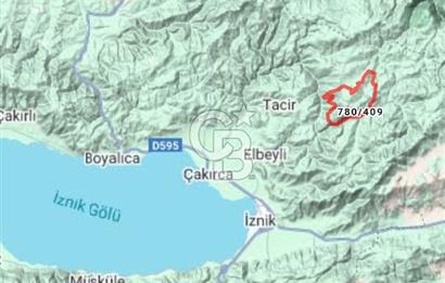 Bursa İznik Candarlı satılık tarla