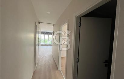 Maltepe Altayçeşme'de kiralık 2+1 sıfır daire 