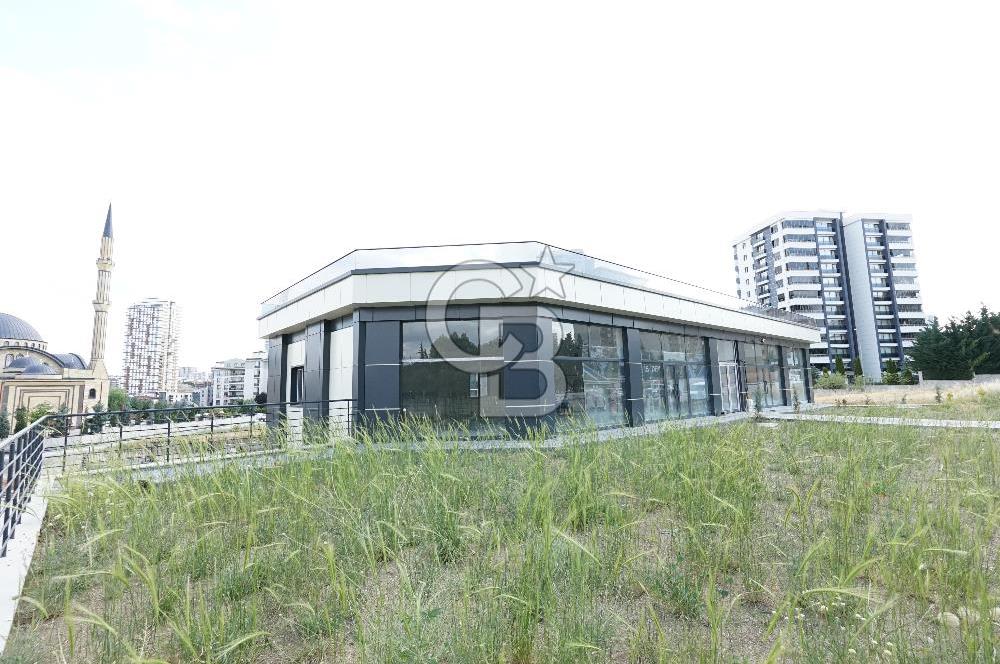 PARK CADDESİ YAKININDA 3 KATLI 1800 M2 KİRALIK DÜKKAN