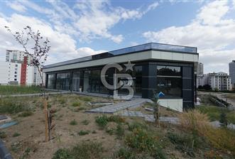 PARK CADDESİ YAKININDA 3 KATLI 1800 M2 KİRALIK DÜKKAN