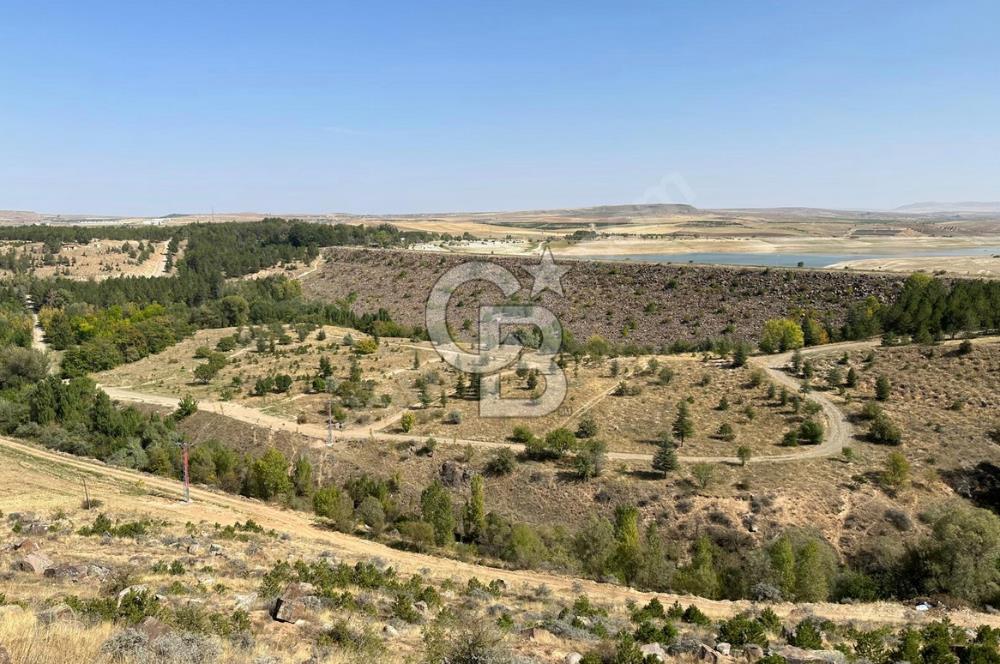 SARIMSAKLI BARAJ MANZARALI ETRAFI DOĞA SON KÖŞE VİLLA PARSELİ