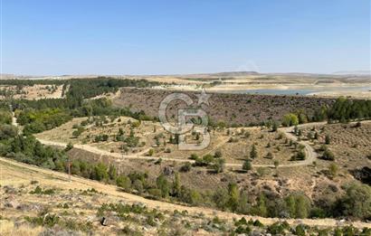 SARIMSAKLI BARAJ MANZARALI ETRAFI DOĞA SON KÖŞE VİLLA PARSELİ