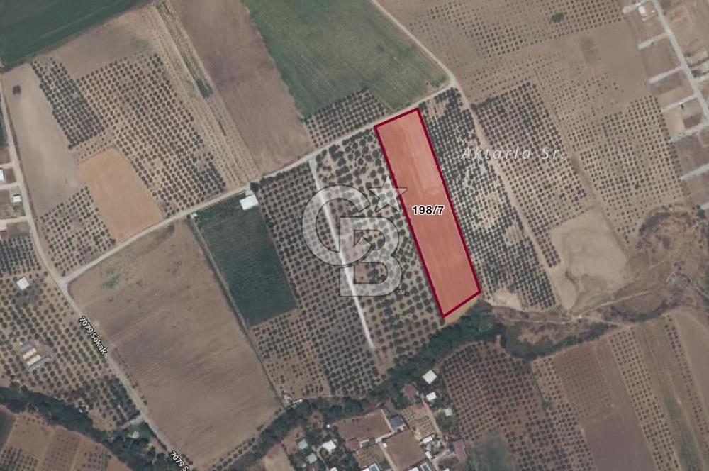 İzmir Menderes Oğlananasında Satılık 9575 m2 Tarla