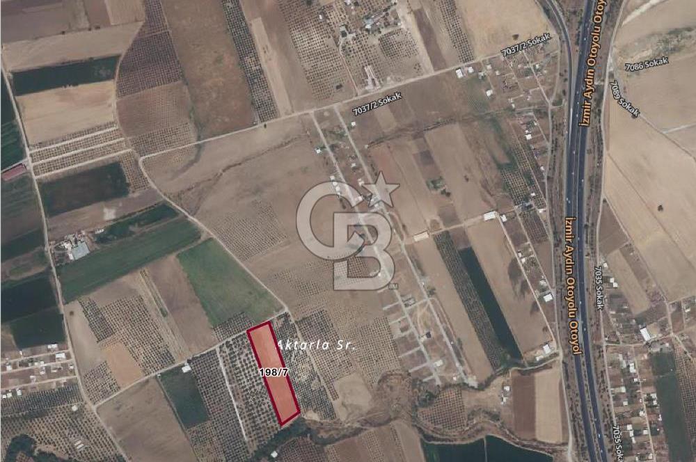 İzmir Menderes Oğlananasında Satılık 9575 m2 Tarla