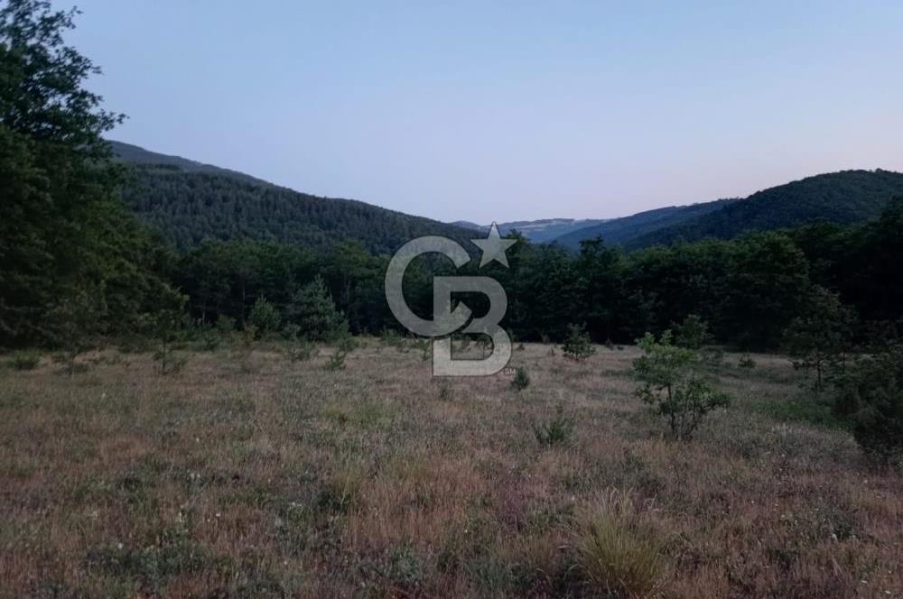 Bursa İznik Candarlı satılık tarla