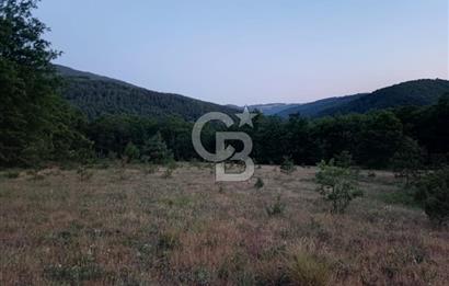 Bursa İznik Candarlı satılık tarla
