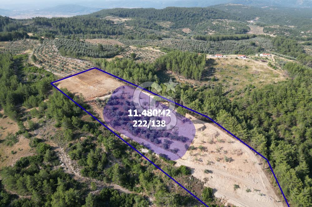 Yerkesik rahat mevkii 11.480m2 işlenmiş yatırımlık tarla 