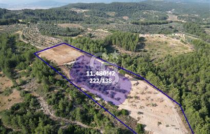 Yerkesik rahat mevkii 11.480m2 işlenmiş yatırımlık tarla 