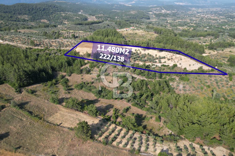 Yerkesik rahat mevkii 11.480m2 işlenmiş yatırımlık tarla 