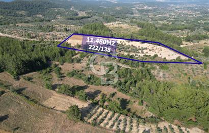 Yerkesik rahat mevkii 11.480m2 işlenmiş yatırımlık tarla 