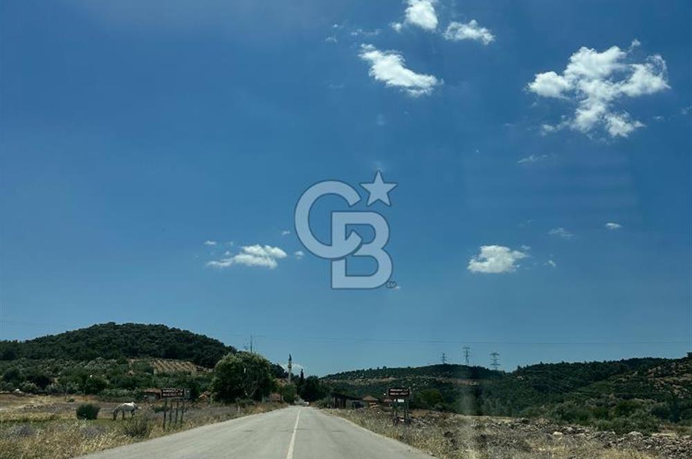 İzmir Kınık Musacalı 300m2 Köyiçiİmarlı Arsa 