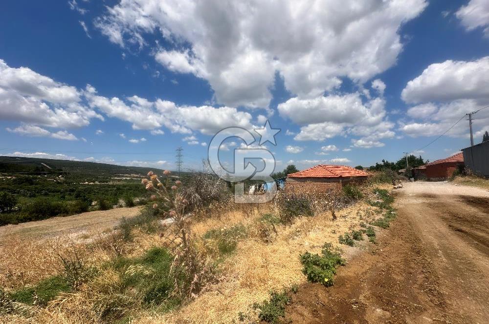 İzmir Kınık Musacalı 300m2 Köyiçiİmarlı Arsa 