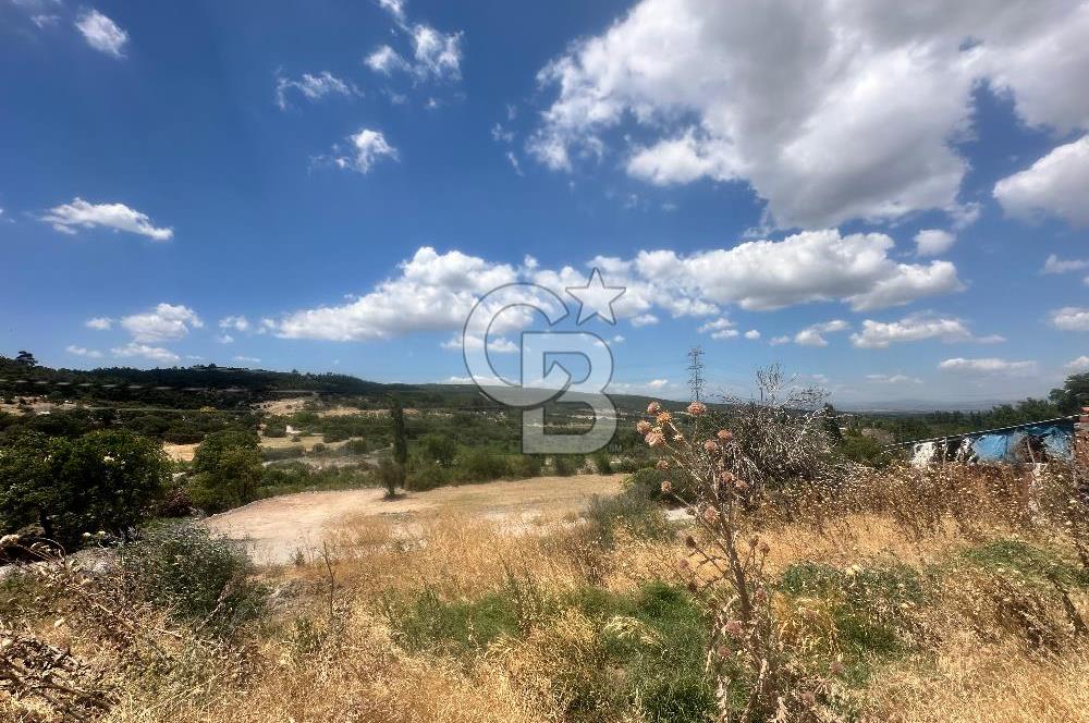 İzmir Kınık Musacalı 300m2 Köyiçiİmarlı Arsa 