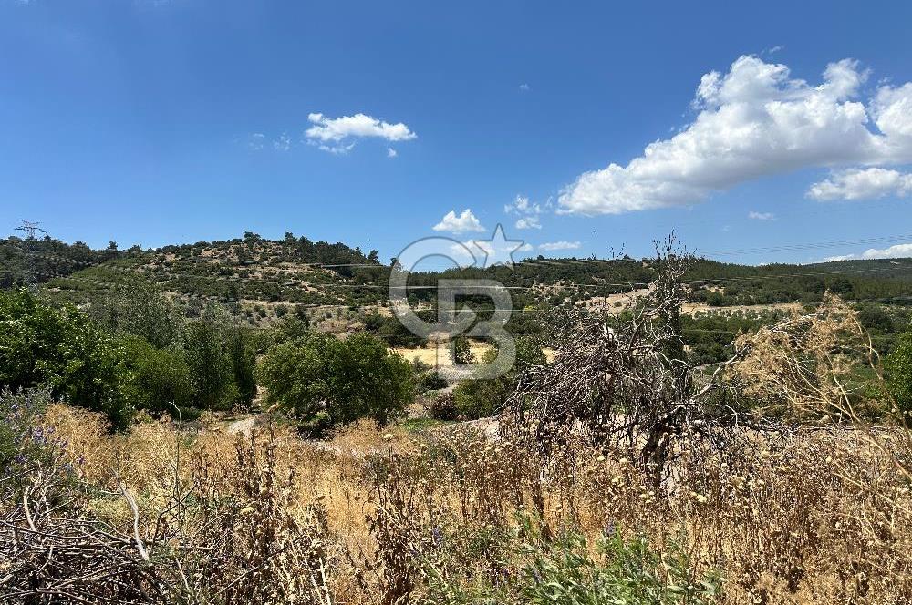 İzmir Kınık Musacalı 300m2 Köyiçiİmarlı Arsa 